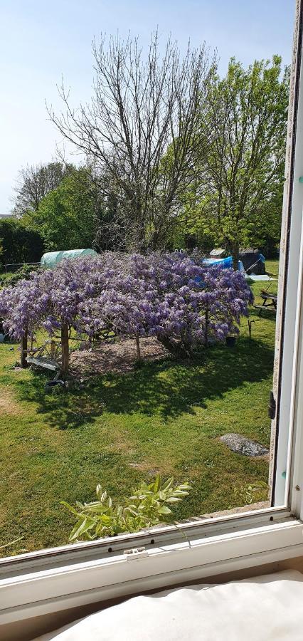 Wisteria House Bed & Breakfast Chanteloup  Exterior foto