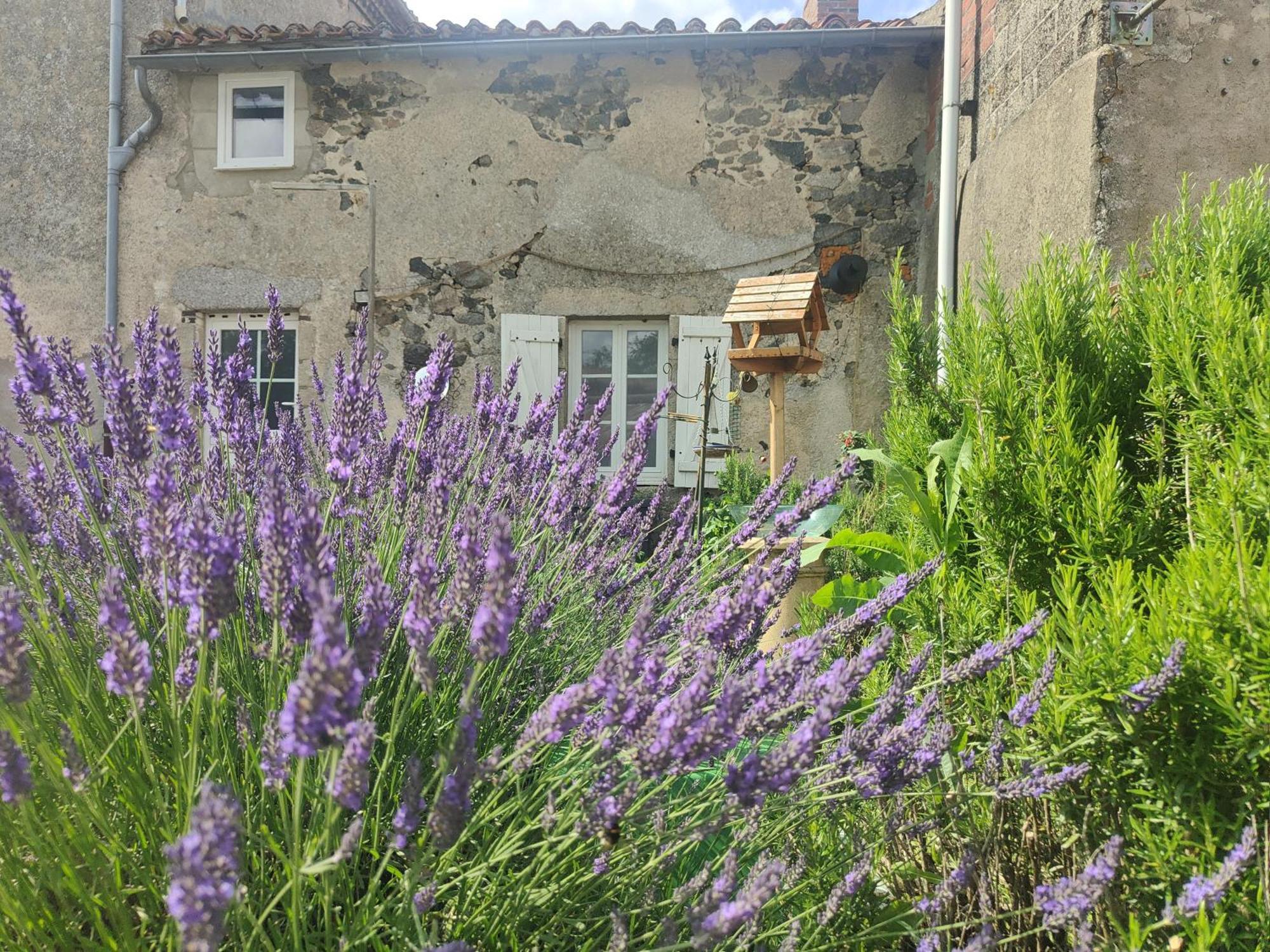 Wisteria House Bed & Breakfast Chanteloup  Exterior foto