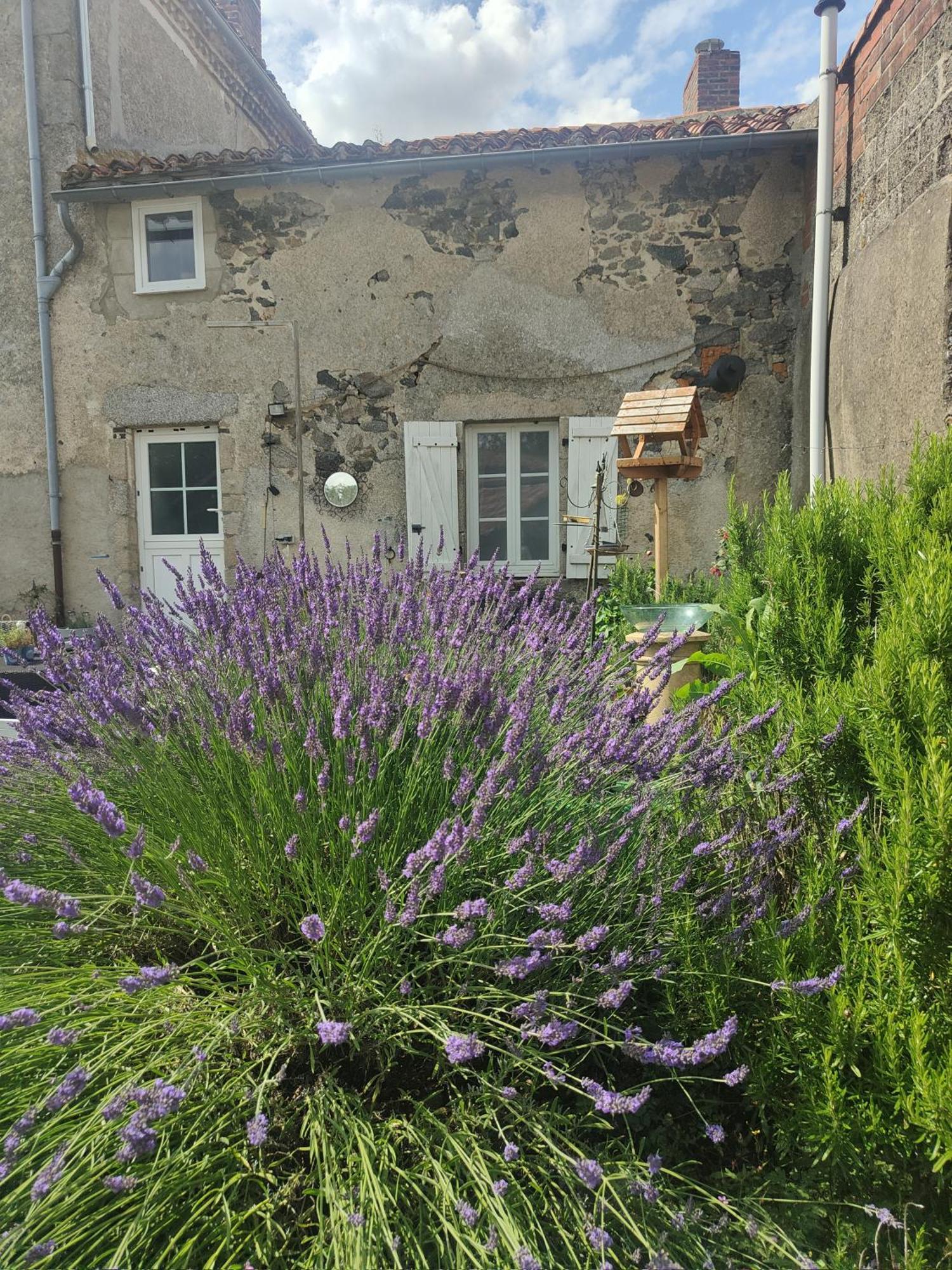 Wisteria House Bed & Breakfast Chanteloup  Exterior foto