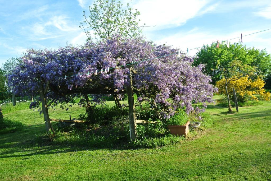 Wisteria House Bed & Breakfast Chanteloup  Exterior foto